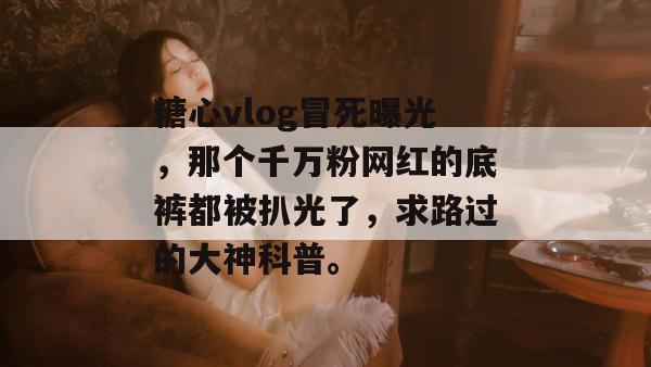糖心vlog冒死曝光，那个千万粉网红的底裤都被扒光了，求路过的大神科普。